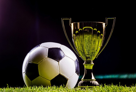 与其他国际 与其他国际