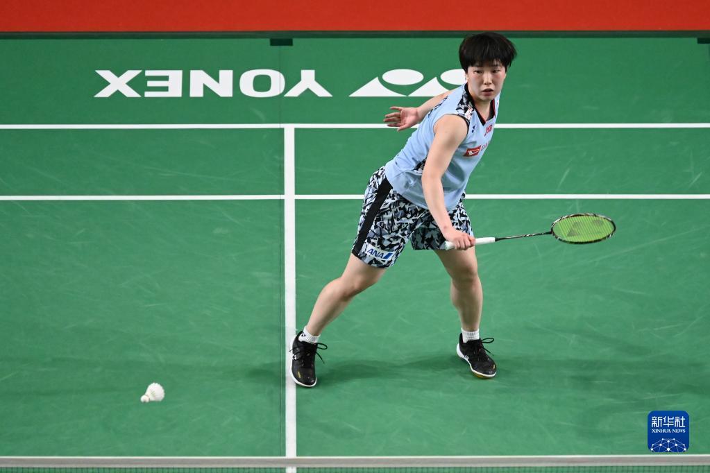 德约科维奇 德约科维奇