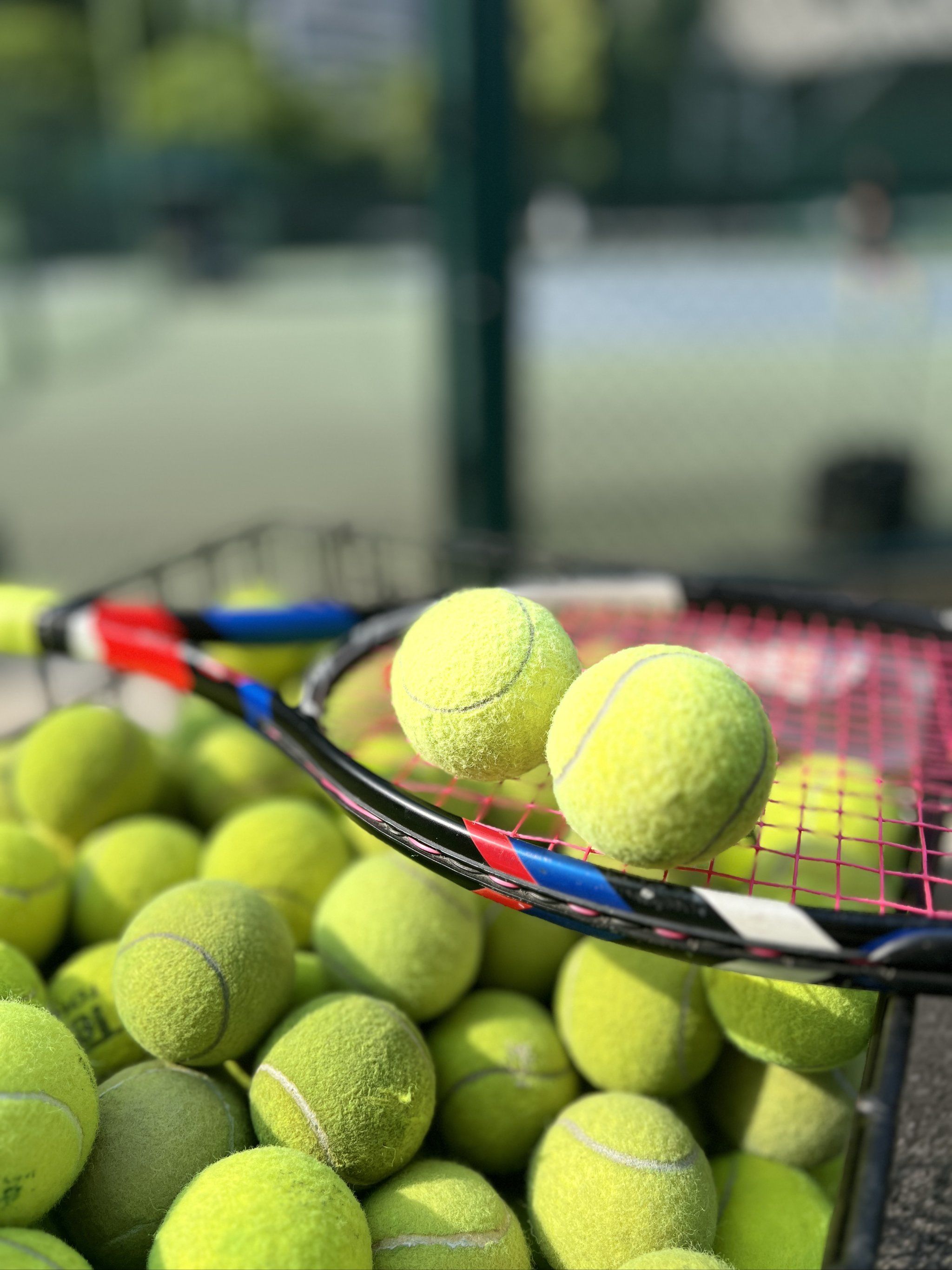 针对这一点 针对这一点