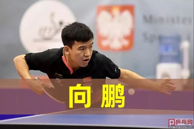 年通过训练 年通过训练